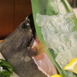 五十六屋 - カワハギです。　冷たくありません