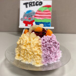 TRICO - 土佐文旦とせとかヨーグルト