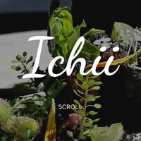 ICHII - 