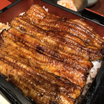 Unagi Toku - 