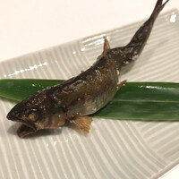 祇をん 八咫 - 