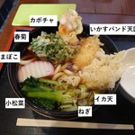 Daihachi Soba - 元祖いか天うどん　800円