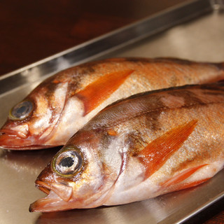shefuhitorijussekidakenoitariantorakane - 魚介類は要予約。毎朝築地で当日使う分のみ仕入れます。