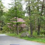 時の宿 すみれ - アプローチ