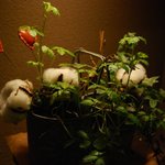 時の宿 すみれ - 館内の飾り