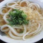 手打ちうどん 尾崎 - かけうどん。