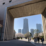 バニラビーンズ - 