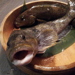 二代豊国名物【泳ぎ物】