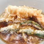 Tendon Tenya - 