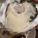 原価牡蠣酒場 BRIDGE OYSTER - 