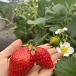 姫路ハートフル観光農園 - 