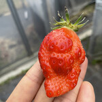 姫路ハートフル観光農園 - 