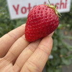 姫路ハートフル観光農園 - 