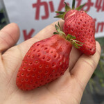 姫路ハートフル観光農園 - 