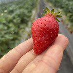 姫路ハートフル観光農園 - 