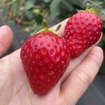 姫路ハートフル観光農園 - 