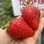 姫路ハートフル観光農園 - 