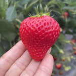 姫路ハートフル観光農園 - 