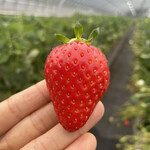 姫路ハートフル観光農園 - 