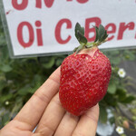 姫路ハートフル観光農園 - 