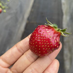 姫路ハートフル観光農園 - 