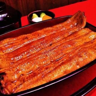 This is the place where you can eat the “next-generation isoflavone female eel” [Aoi no Unagi]!