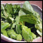 The INNOCENT CARVERY - 