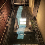 波濤 - 例に漏れず金魚ちゃん