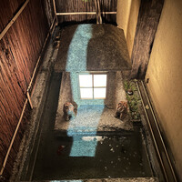 波濤 - 例に漏れず金魚ちゃん