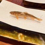 旬彩天 つちや - 稚鮎