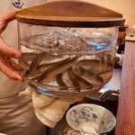 旬彩天 つちや - 天然稚鮎