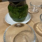 bb9 - ハーブテォイ