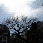 北京飯店 - お腹いっぱい、映画も楽しみ !