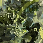 A e B - フィオーリ