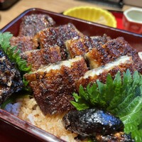 炭焼 うな富士 有楽町店 - 