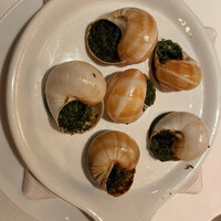 Benoit Alain Ducasse - 
