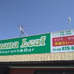 Banana Leaf - 