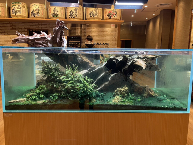 Yakiniku Furusato Saijo Ten photo 4