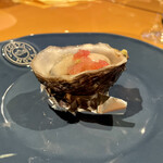 Spice&Dining KALA - キャッツアイ＆ブッシュキャビア（豪州産牡蠣とフィンガーライム）