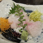 舞桜 - クエ刺身