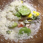 yokoyama - 紋甲烏賊 緑豆（空豆・枝豆・うすい豆）を昆布出汁で炊いたジュレ