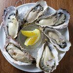 Great value raw Oyster platter