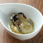 Oyster pickled in oil