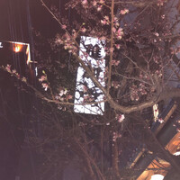 博多料亭 稚加榮 - 