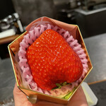 イル アオヤマ - 