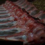 一路 - ねこそぎ後