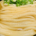 うどん 丸香 - ・かけうどん ズームアップ
