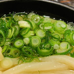 うどん 丸香 - ・香川県産青ねぎ