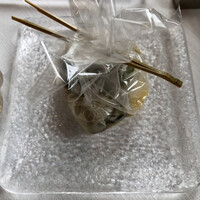 サーラ アマービレ - 