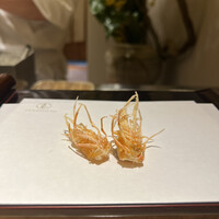 天七 - 
